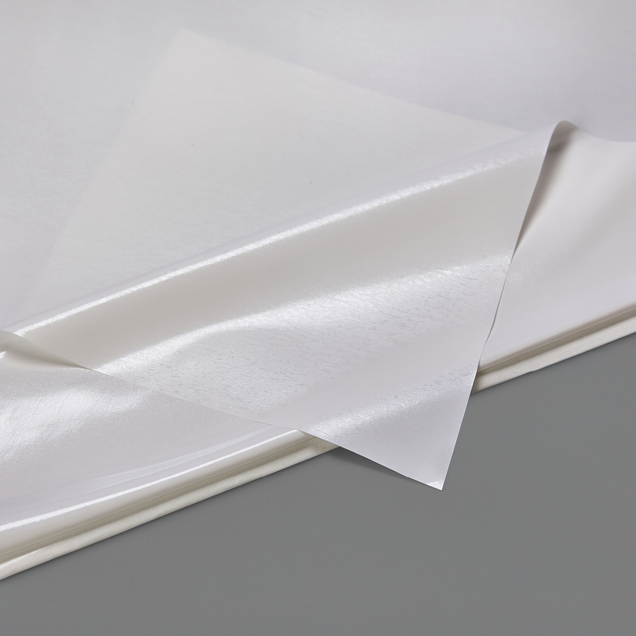 Hot Melt Adhesive Film